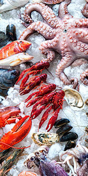 bangla seafood home2